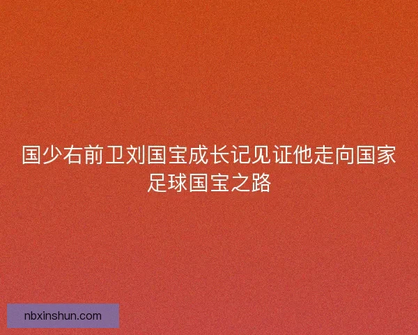 国少右前卫刘国宝成长记见证他走向国家足球国宝之路 国少右前卫刘国宝成长记见证他走向国家足球国宝之路