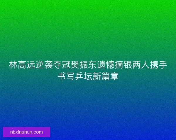 林高远逆袭夺冠樊振东遗憾摘银两人携手书写乒坛新篇章